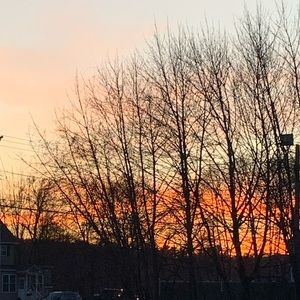 Meet your Posher, Cora